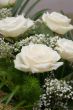 Wedding bouquet of white roses