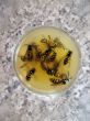 Cemetery of wasps in a cocktail with orange juice2