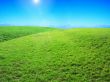 Bright green meadow and blue sky