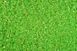 Mineral texture