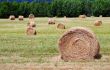 Hay bales