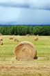 Hay bales