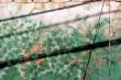 textures on a wall
