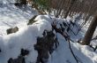 Stone Wall in Winter