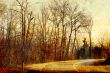 old-fashioned landscape
