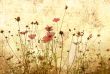 old-fashioned flower