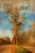 old-fashioned landscape