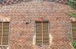 Old Brick and Vines