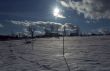 Winter Landscape