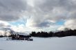 Winter Landscape