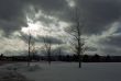 Winter Landscape