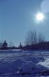 Winter Landscape