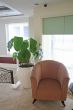 Sofas and table