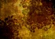 floral style backgrounds