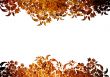 floral style backgrounds