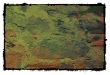 Background frame