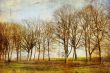 old-fashioned landscape