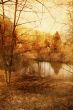 old-fashioned landscape