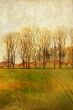 old-fashioned landscape