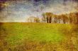 old-fashioned landscape