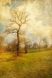 old-fashioned landscape