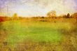 old-fashioned landscape