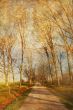 old-fashioned landscape