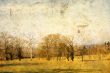 old-fashioned landscape