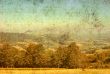old-fashioned landscape