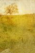 old-fashioned landscape