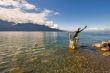  Sculpture in water.