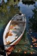 Little boat