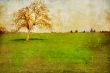 old-fashioned landscape