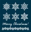 Unique snowflakes / vector / christmas background