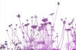 floral style textures