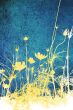 floral style textures