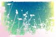 floral style textures