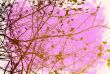 floral style textures
