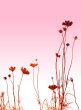 floral style textures