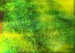 Great for textures and backgrounds