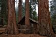 Round dance of giants