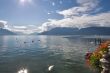 Fine lake Leman