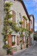 The ancient houses covered by an ivy