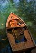 Bird in boat