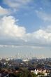sydney cbd in distance