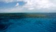Coral Reef