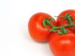 Tomatoes with clipping path