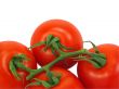 Tomatoes with clipping path