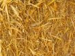 Straw background