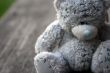 Small grey bear